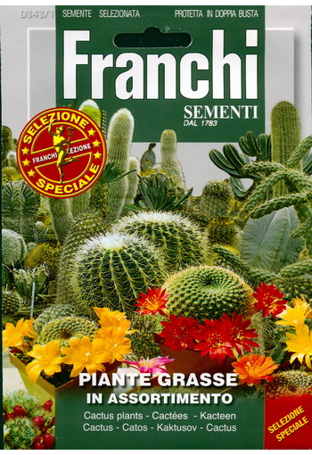Kaktukset "Piante grasse" (mix)